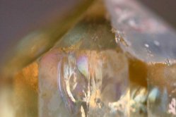"Palast der Goldenen RegenbogenWesen"