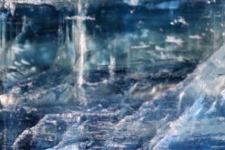"Neptun